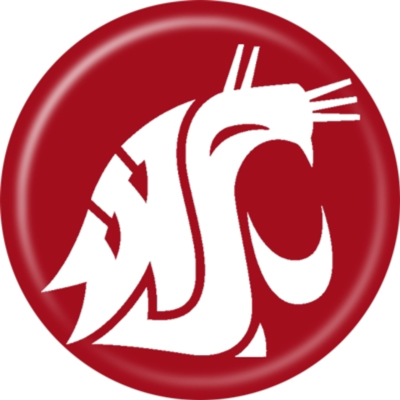 Washington State Cougars